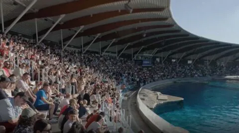 The video on the group's 70th anniversary celebration is out now