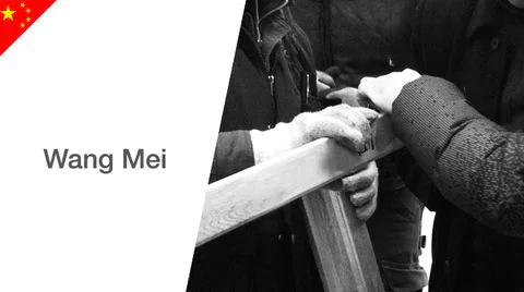 Wang Mei